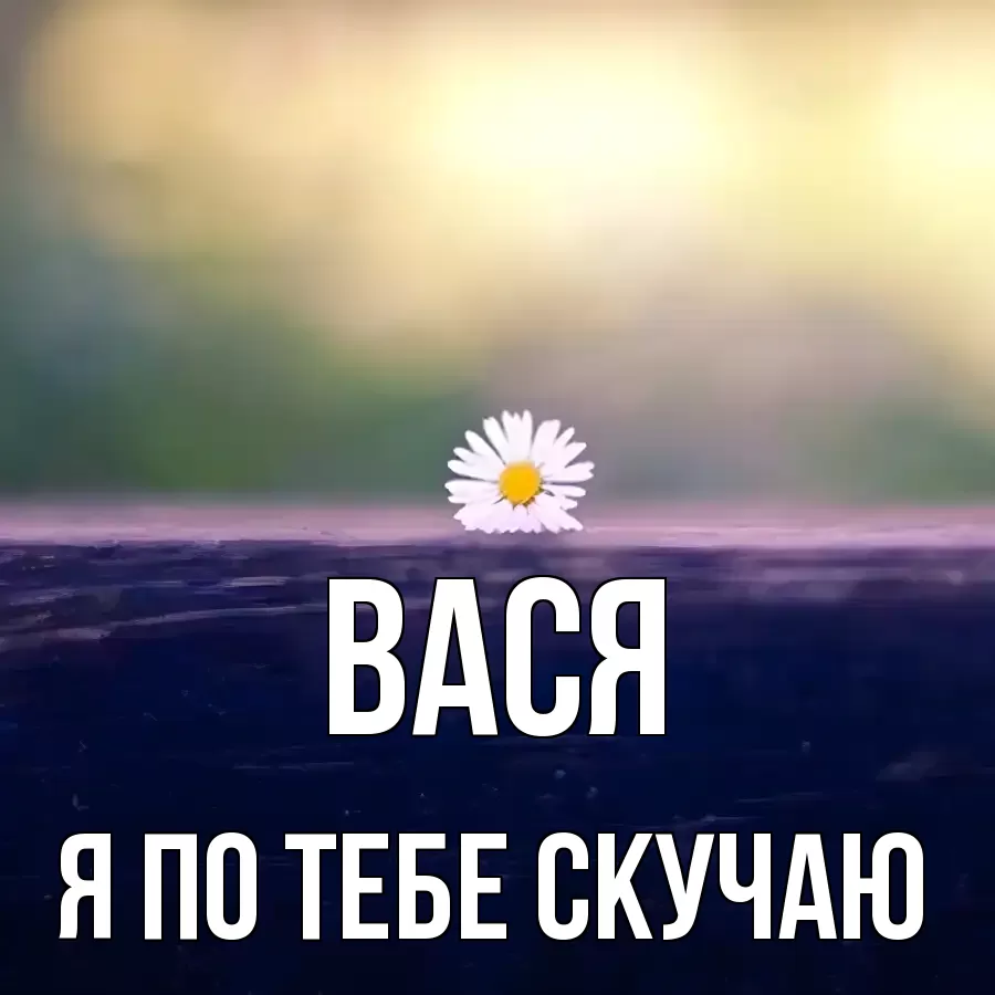 ВАСЯ Я ПО ТЕБЕ СКУЧАЮ