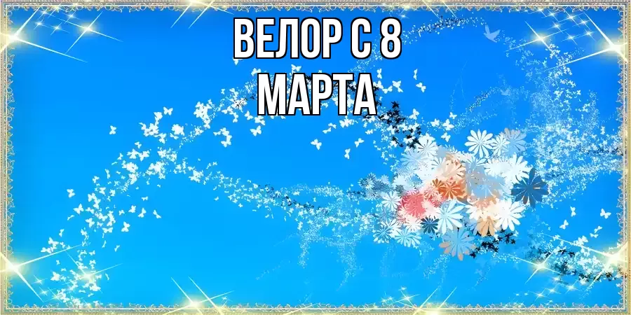 ОТКРЫТКА ВЕЛОР
