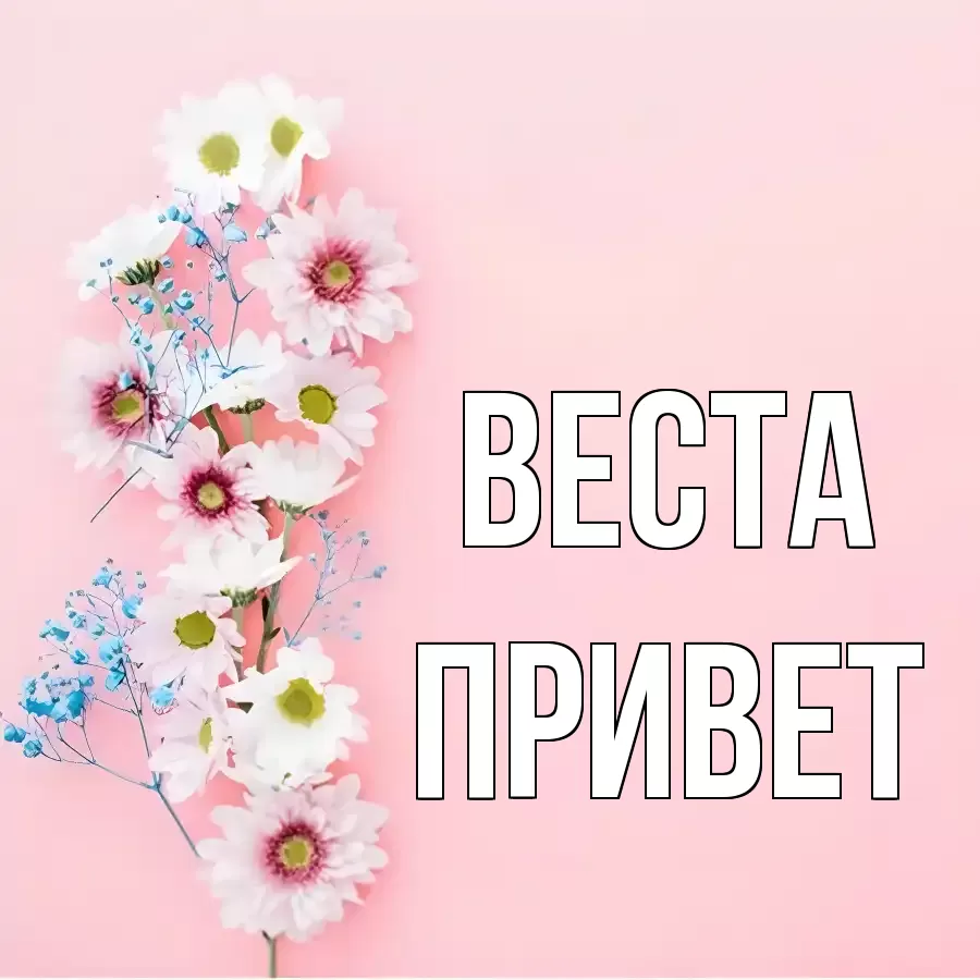 ОТКРЫТКА ВЕСТА