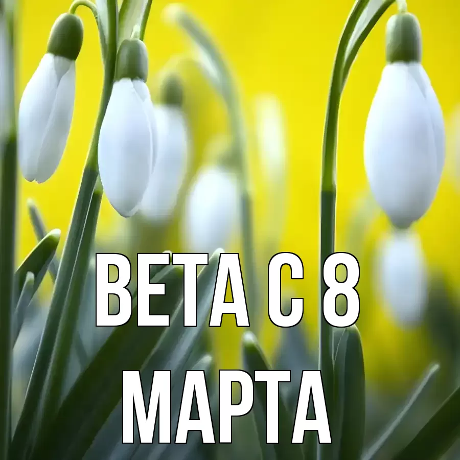ОТКРЫТКА ВЕТА