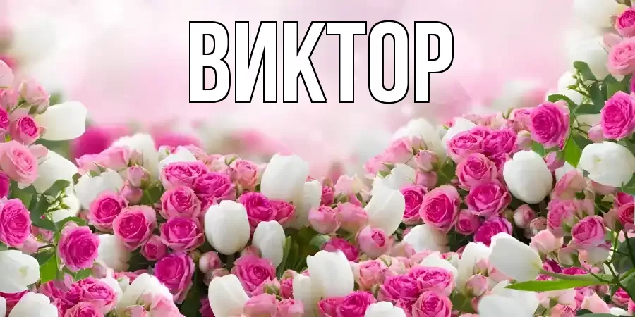 ВИКТОР