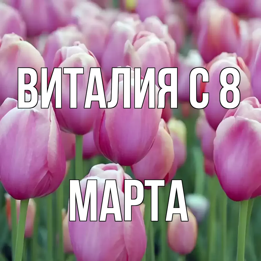 ОТКРЫТКА ВИТАЛИЯ