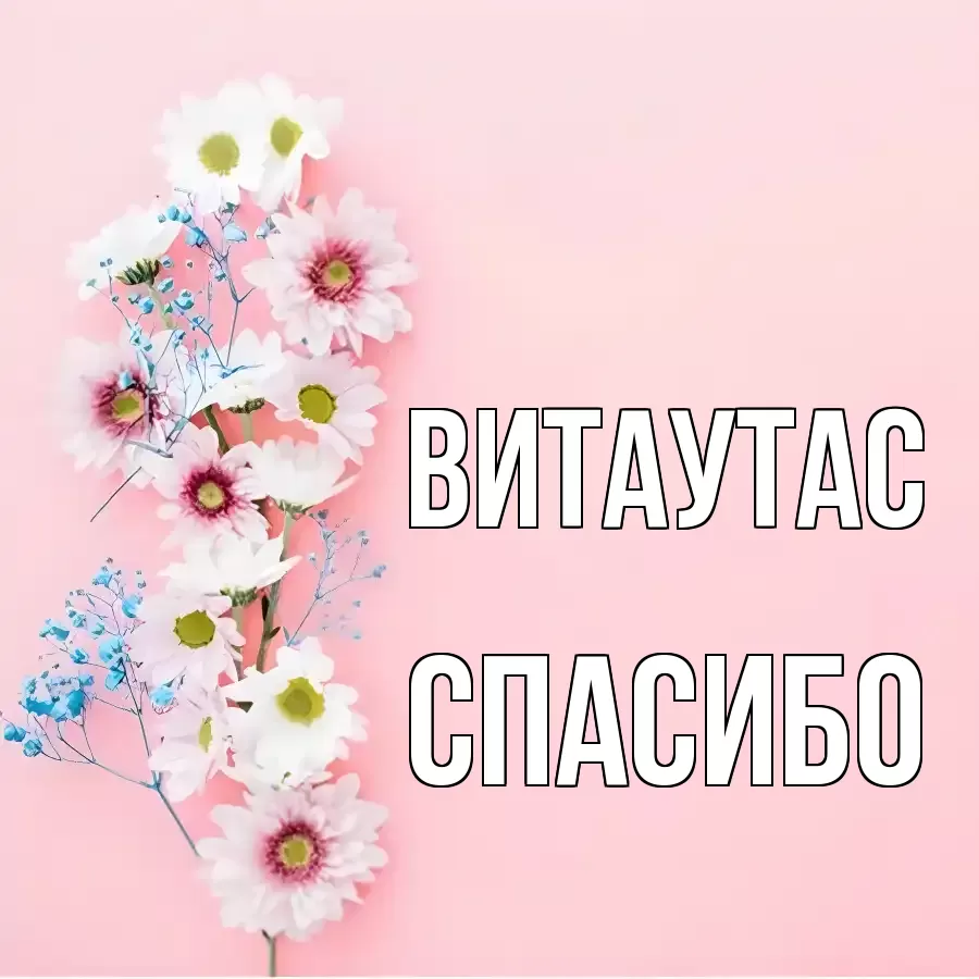 ОТКРЫТКА ВИТАУТАС