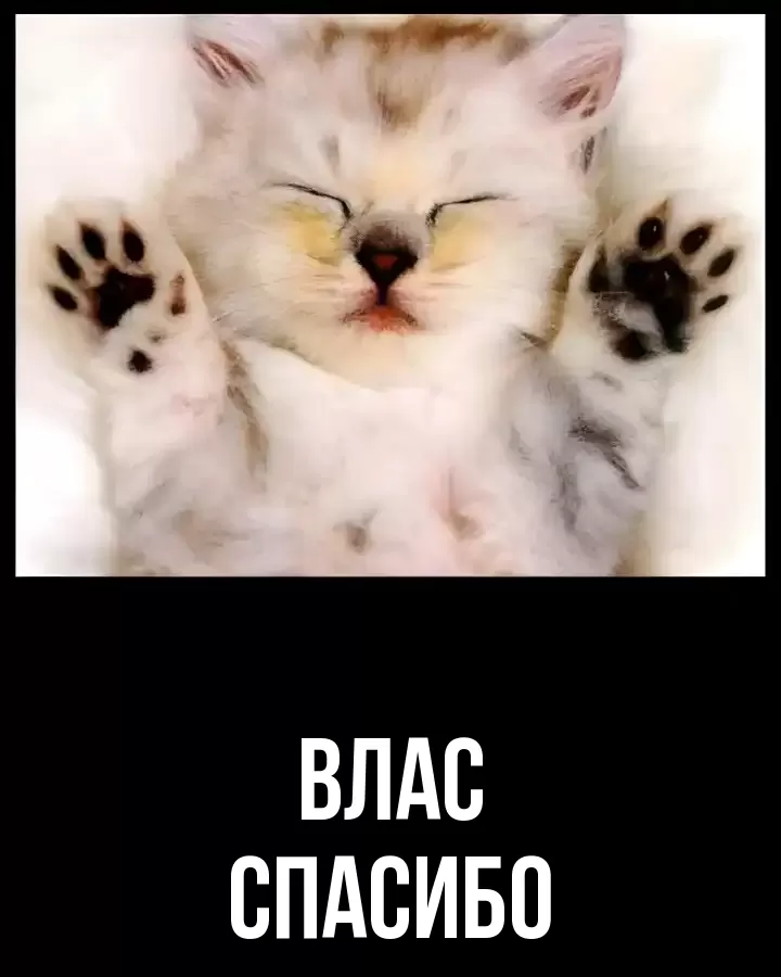 Открытка для Влас