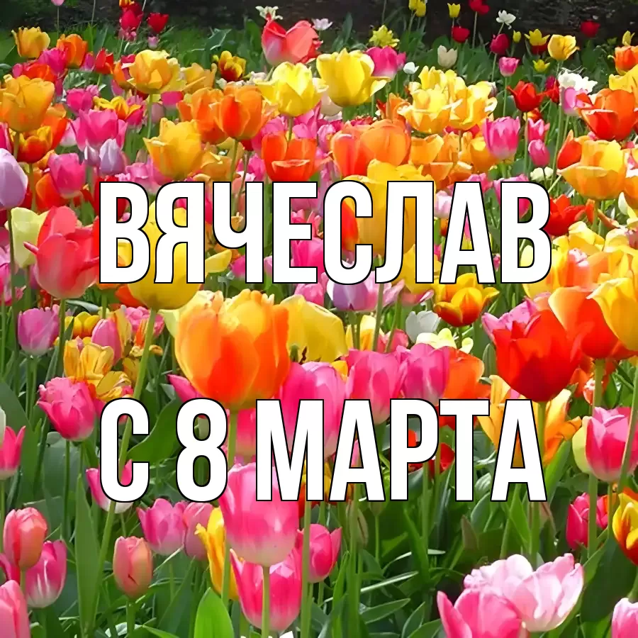 ОТКРЫТКА ВЯЧЕСЛАВ