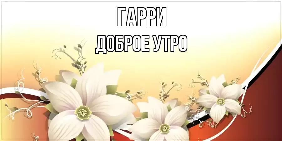 ДОБРОЕ УТРО ГАРРИ