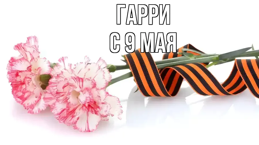 С 9 МАЯ ГАРРИ