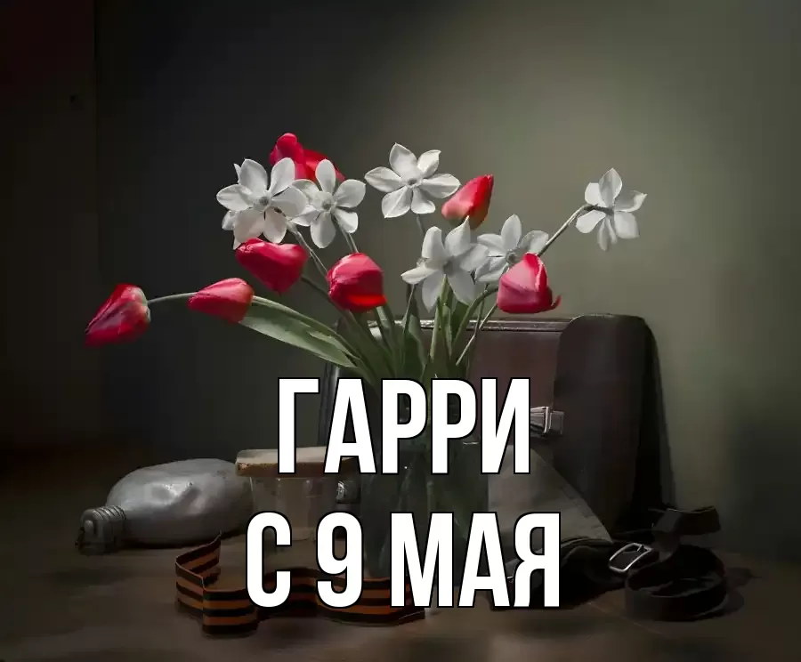 С 9 МАЯ ГАРРИ