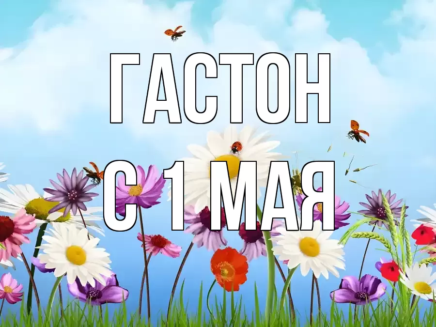 С 1 МАЯ ГАСТОН