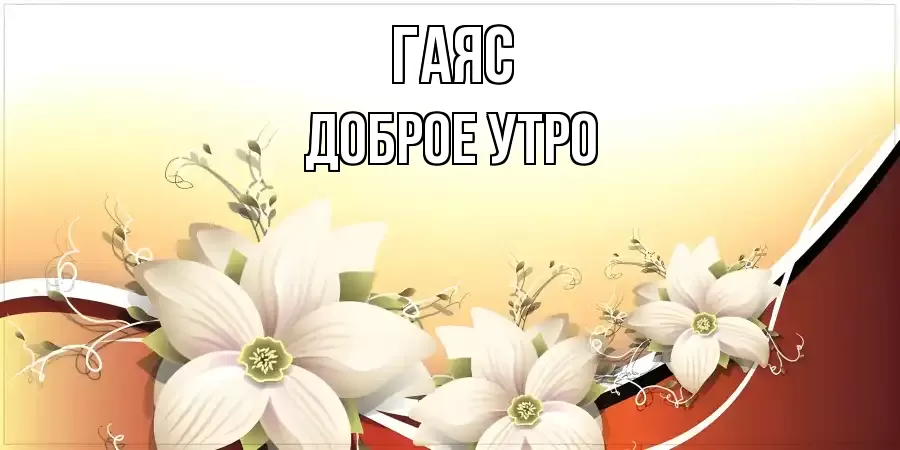 ДОБРОЕ УТРО ГАЯС
