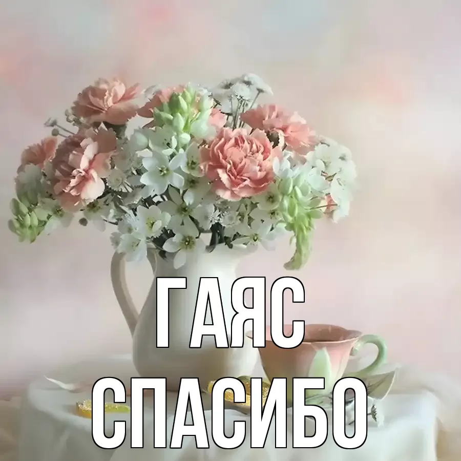 ОТКРЫТКА ГАЯС