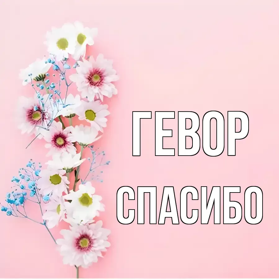 ОТКРЫТКА ГЕВОР