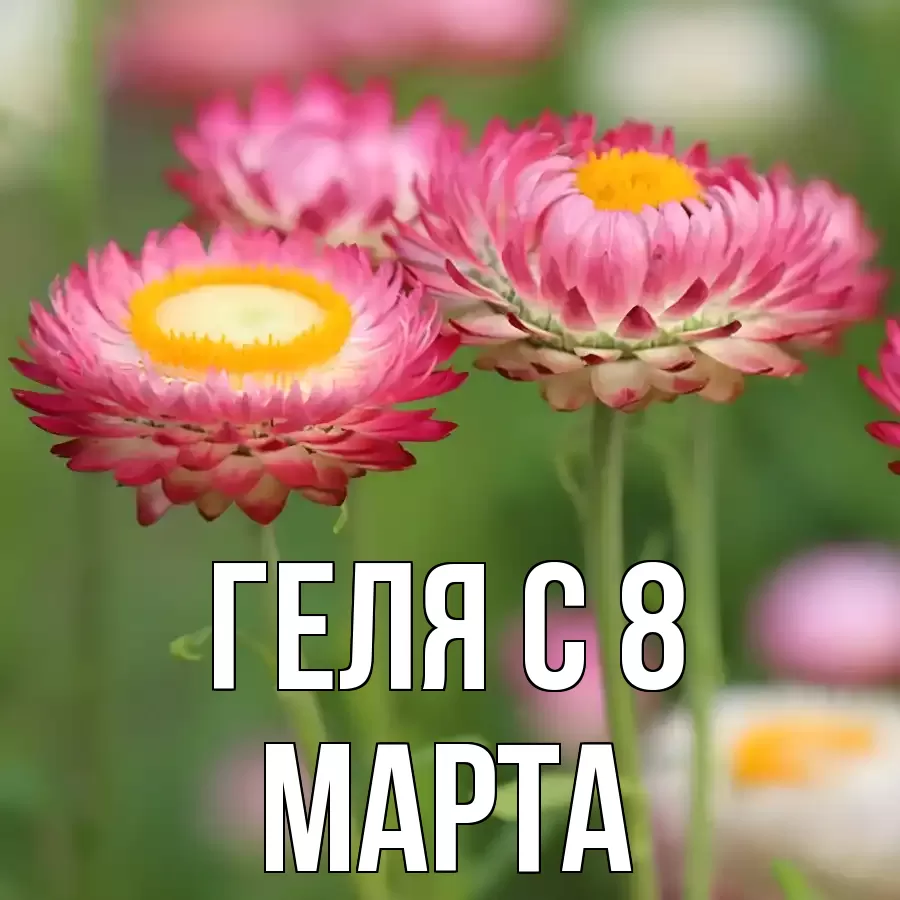 ОТКРЫТКА ГЕЛЯ