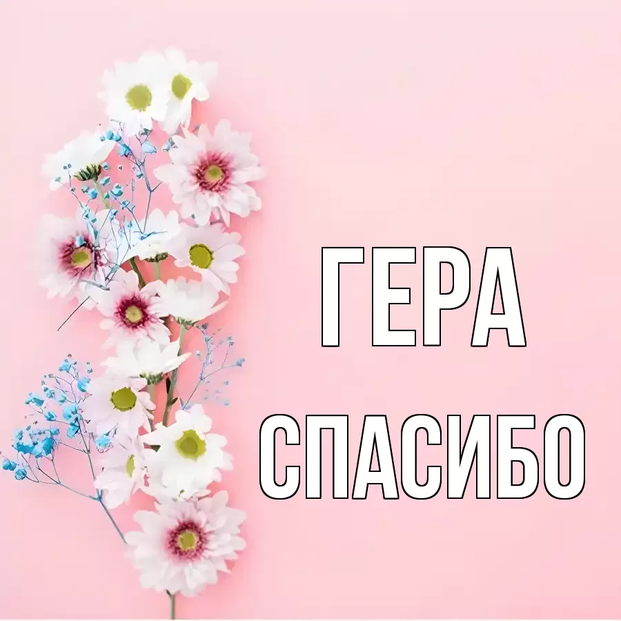 ОТКРЫТКА ГЕРА