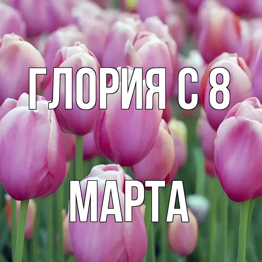 ОТКРЫТКА ГЛОРИЯ