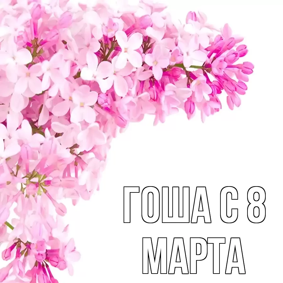 ОТКРЫТКА ГОША