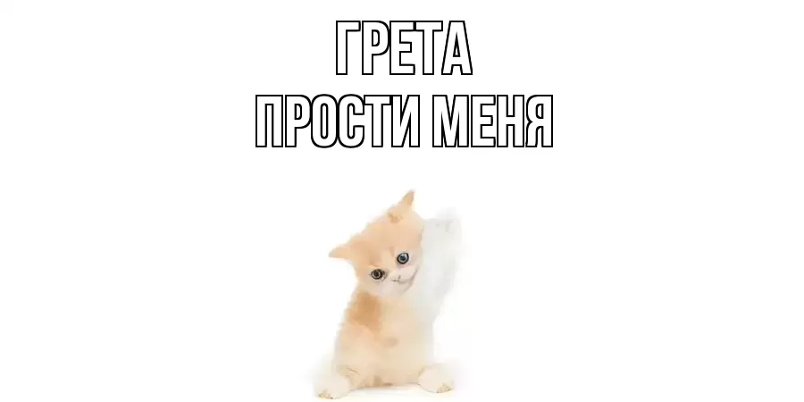 ПРОСТИ МЕНЯ ГРЕТА