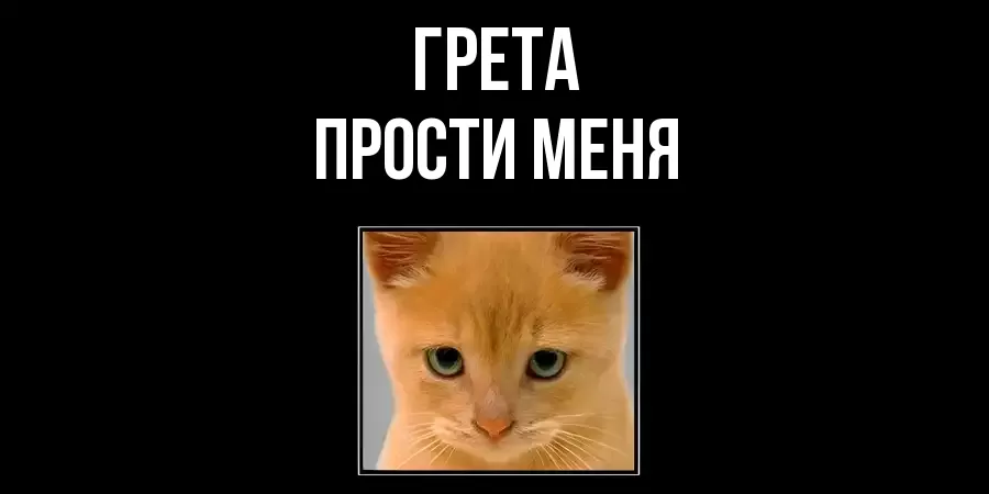 ПРОСТИ МЕНЯ ГРЕТА
