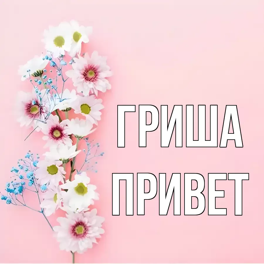 ОТКРЫТКА ГРИША