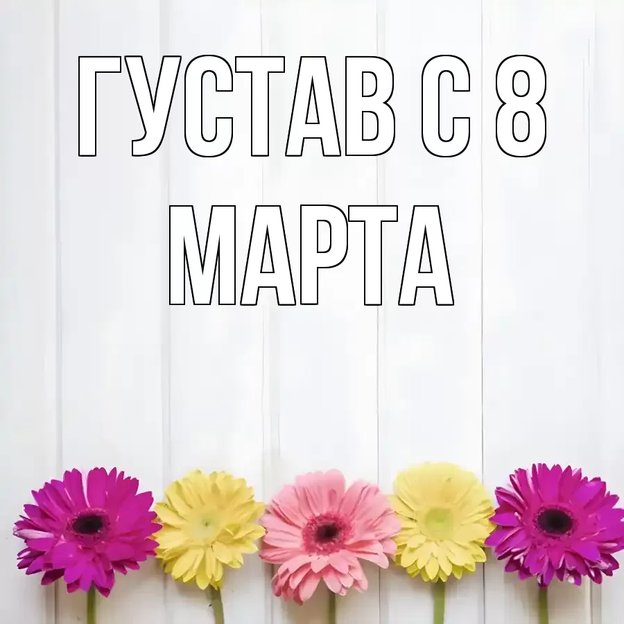 ОТКРЫТКА ГУСТАВ