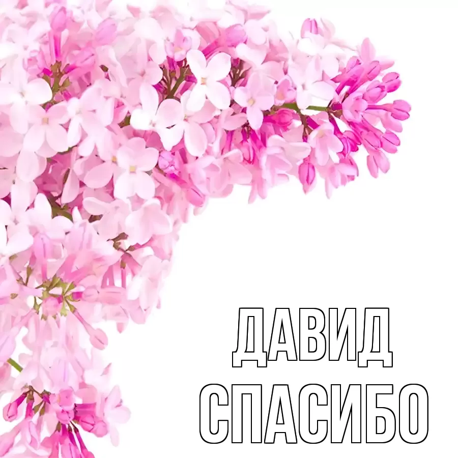 ОТКРЫТКА ДАВИД