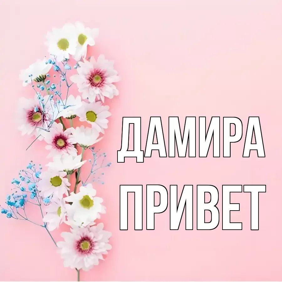 ОТКРЫТКА ДАМИРА