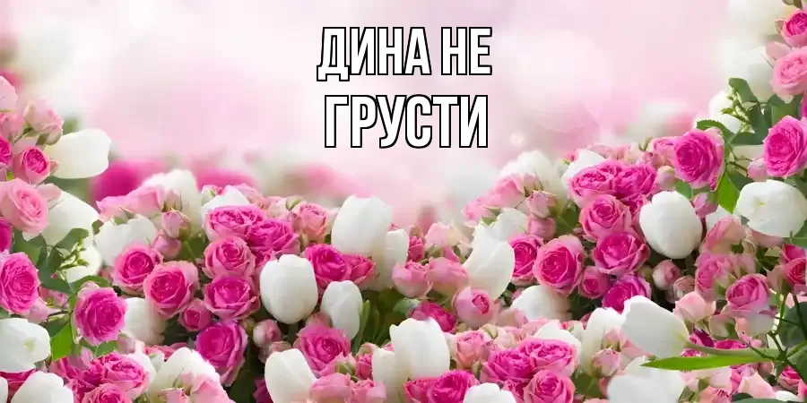 ОТКРЫТКА ДИНА