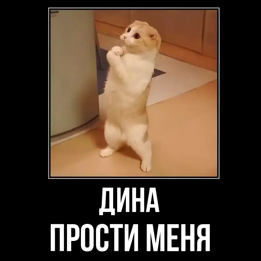 ПРОСТИ МЕНЯ ДИНА