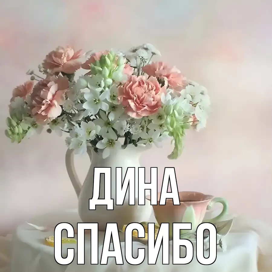 ОТКРЫТКА ДИНА