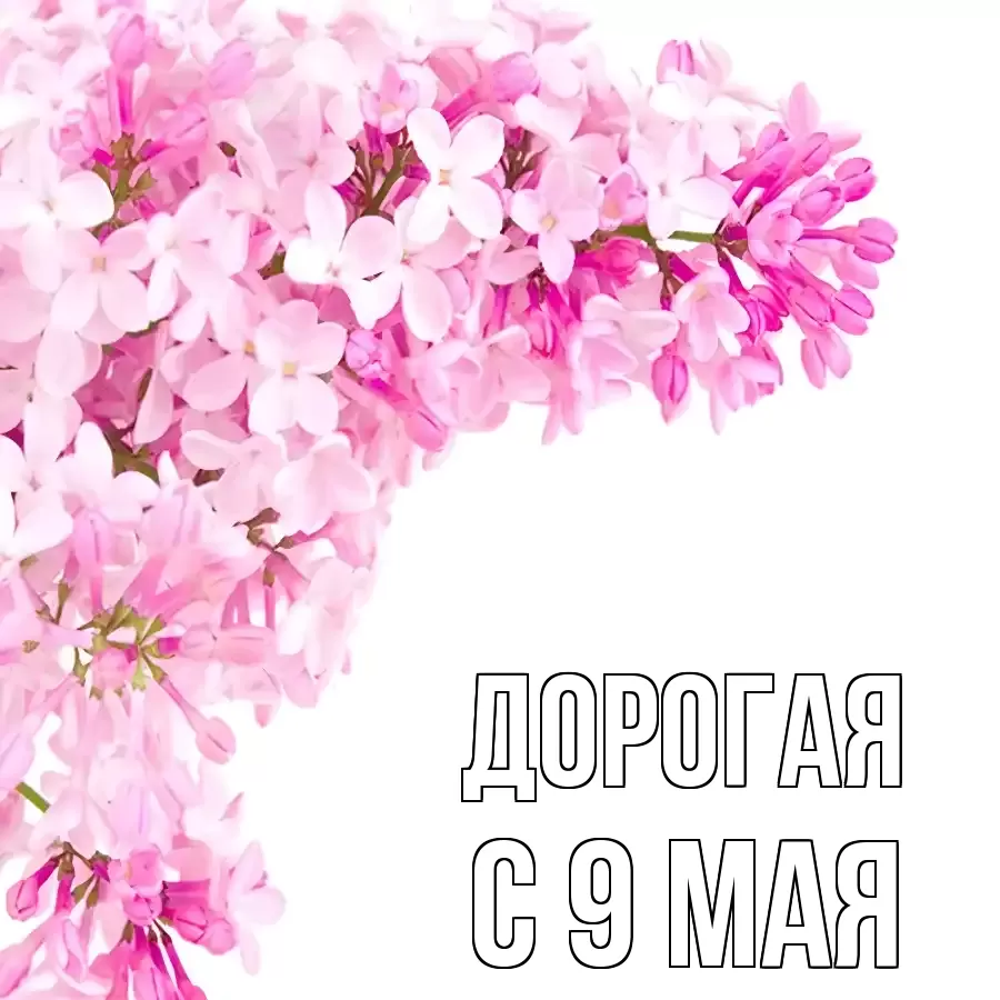 ОТКРЫТКА ДОРОГАЯ