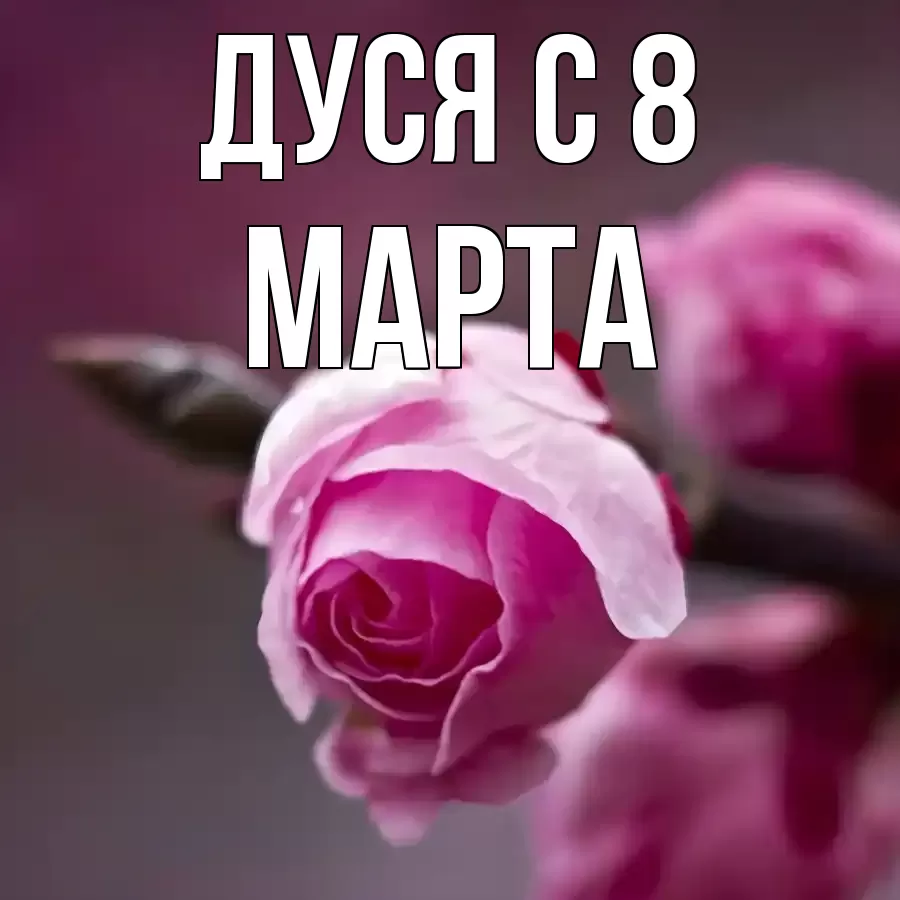 ОТКРЫТКА ДУСЯ