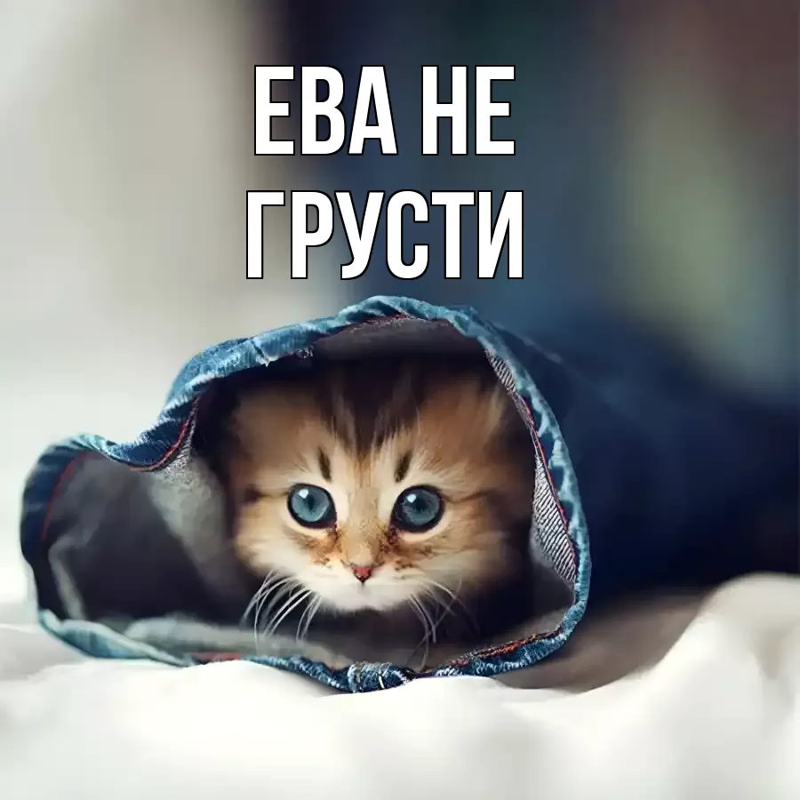 ОТКРЫТКА ЕВА