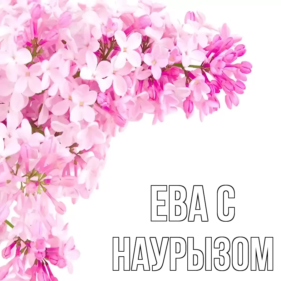 ОТКРЫТКА ЕВА