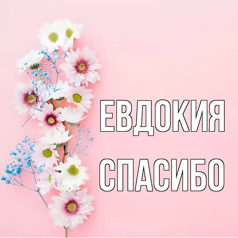 ОТКРЫТКА ЕВДОКИЯ
