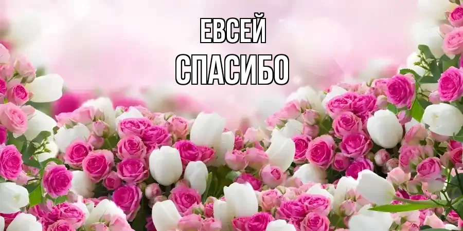 ОТКРЫТКА ЕВСЕЙ