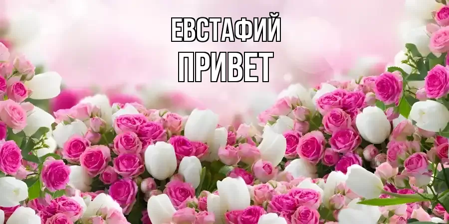 ОТКРЫТКА ЕВСТАФИЙ