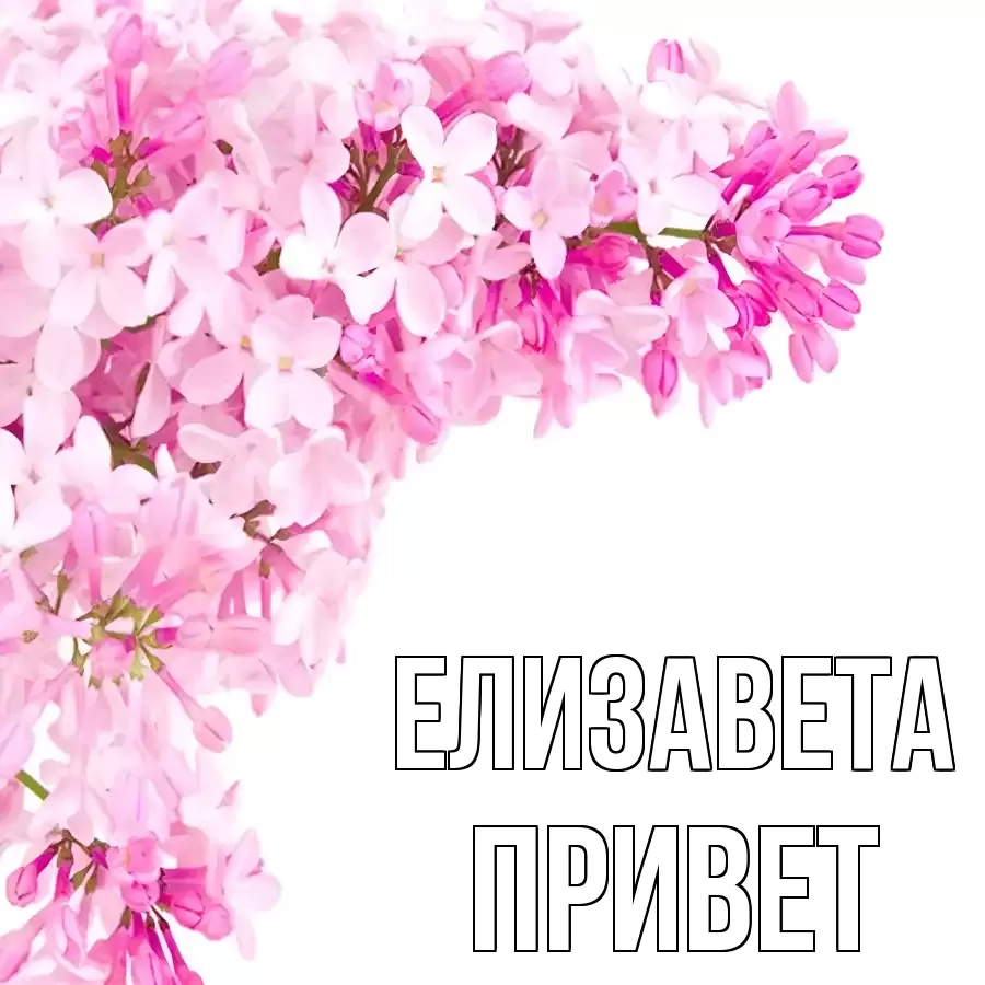 ОТКРЫТКА ЕЛИЗАВЕТА