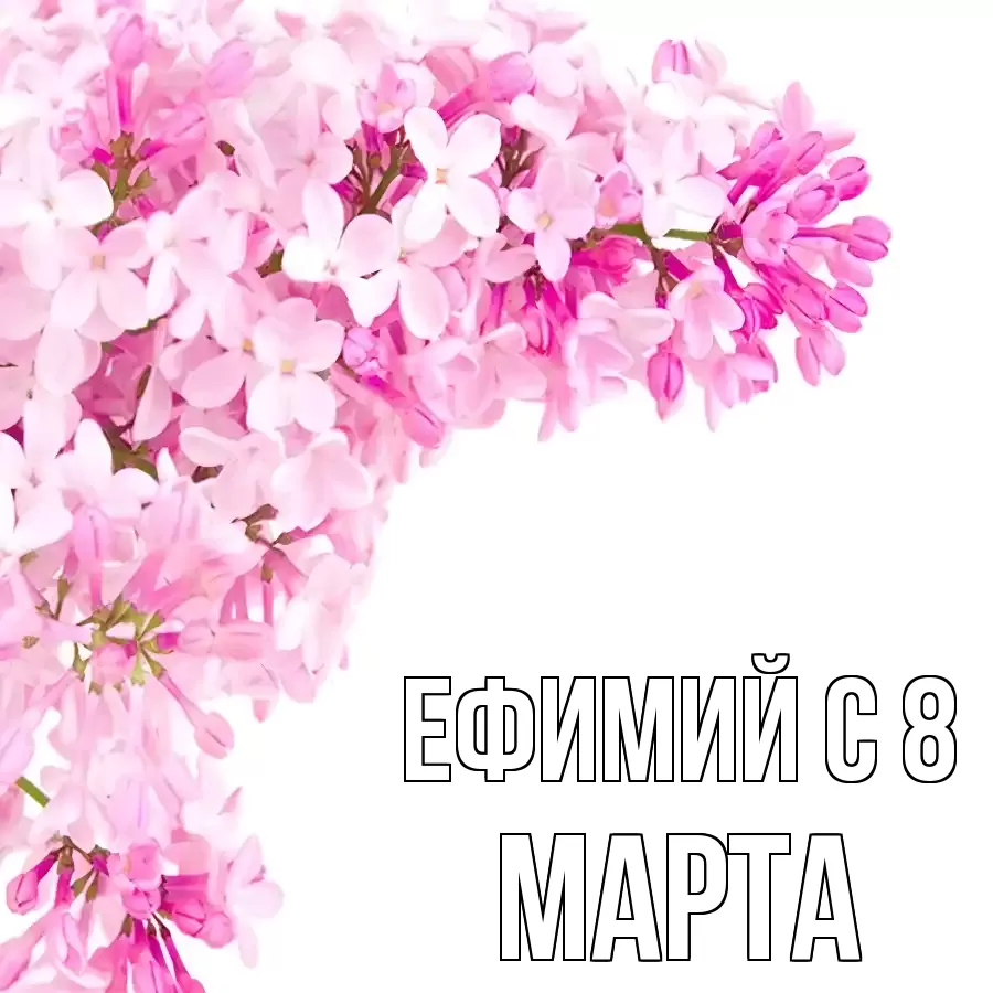 ОТКРЫТКА ЕФИМИЙ