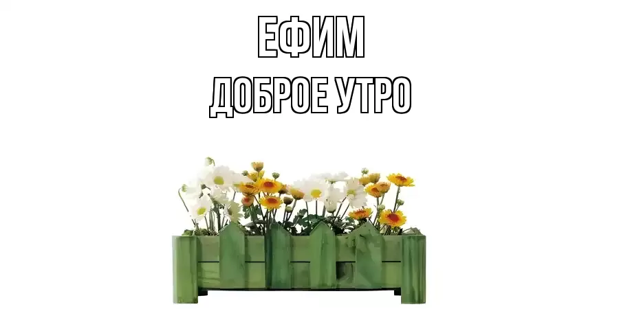 ДОБРОЕ УТРО ЕФИМ