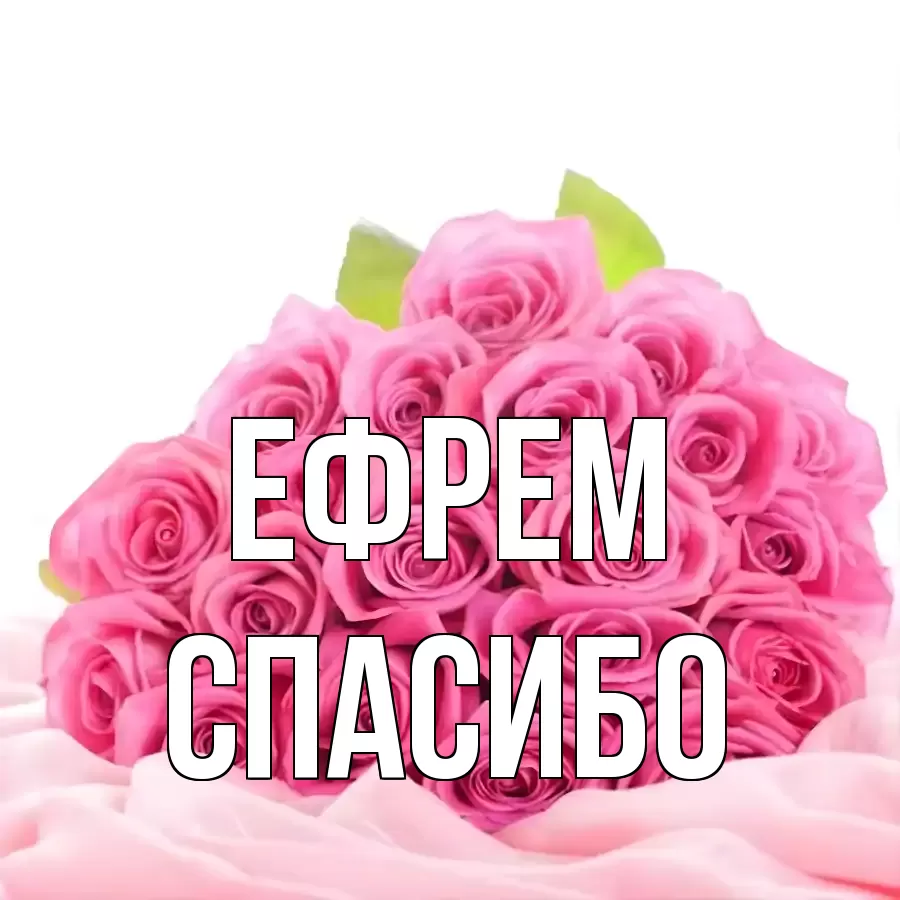 ОТКРЫТКА ЕФРЕМ