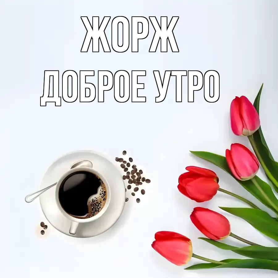 ДОБРОЕ УТРО ЖОРЖ