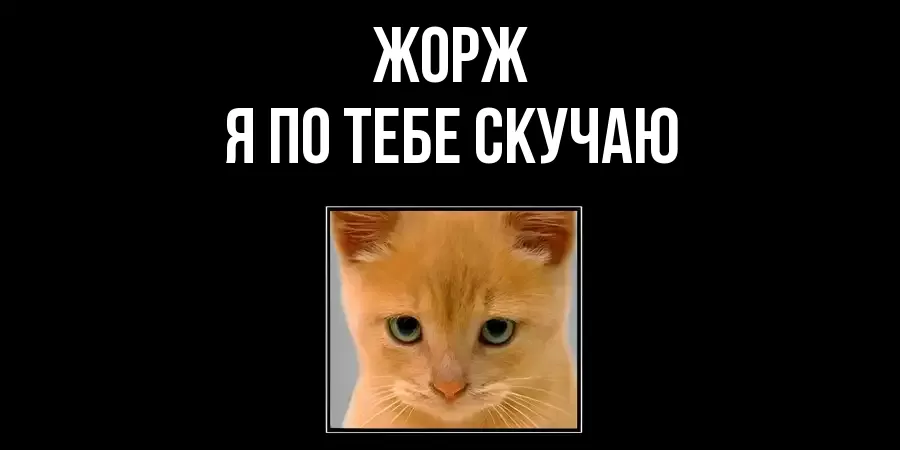 ЖОРЖ Я ПО ТЕБЕ СКУЧАЮ
