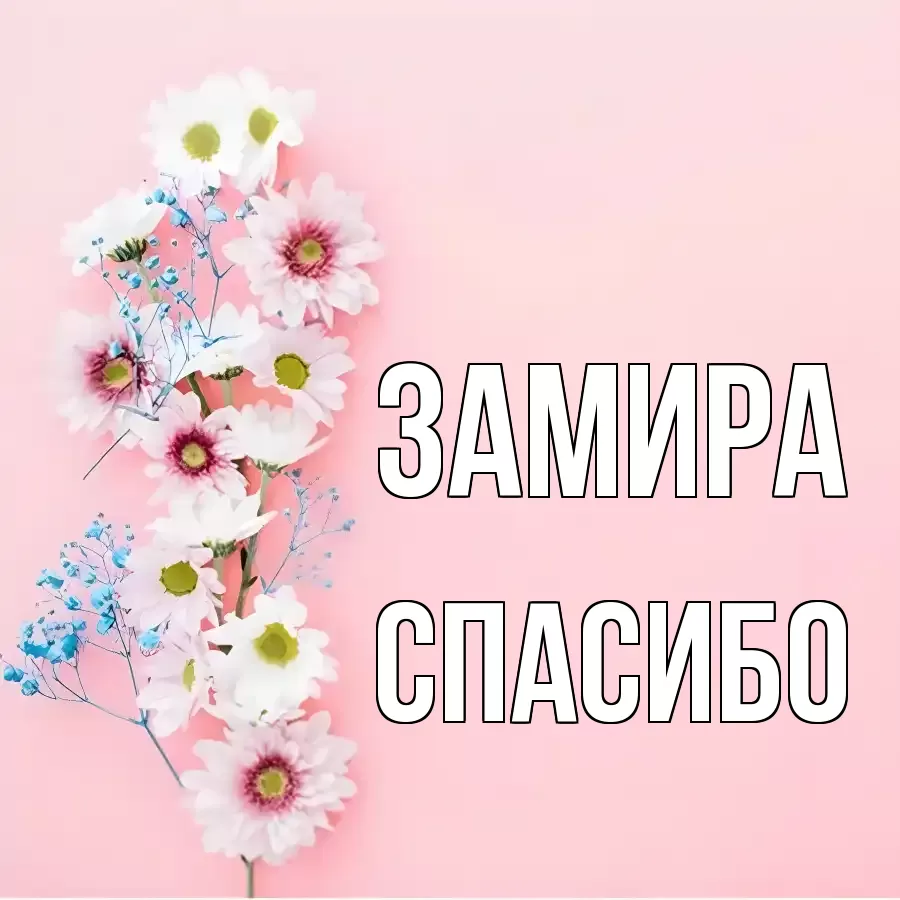 ОТКРЫТКА ЗАМИРА