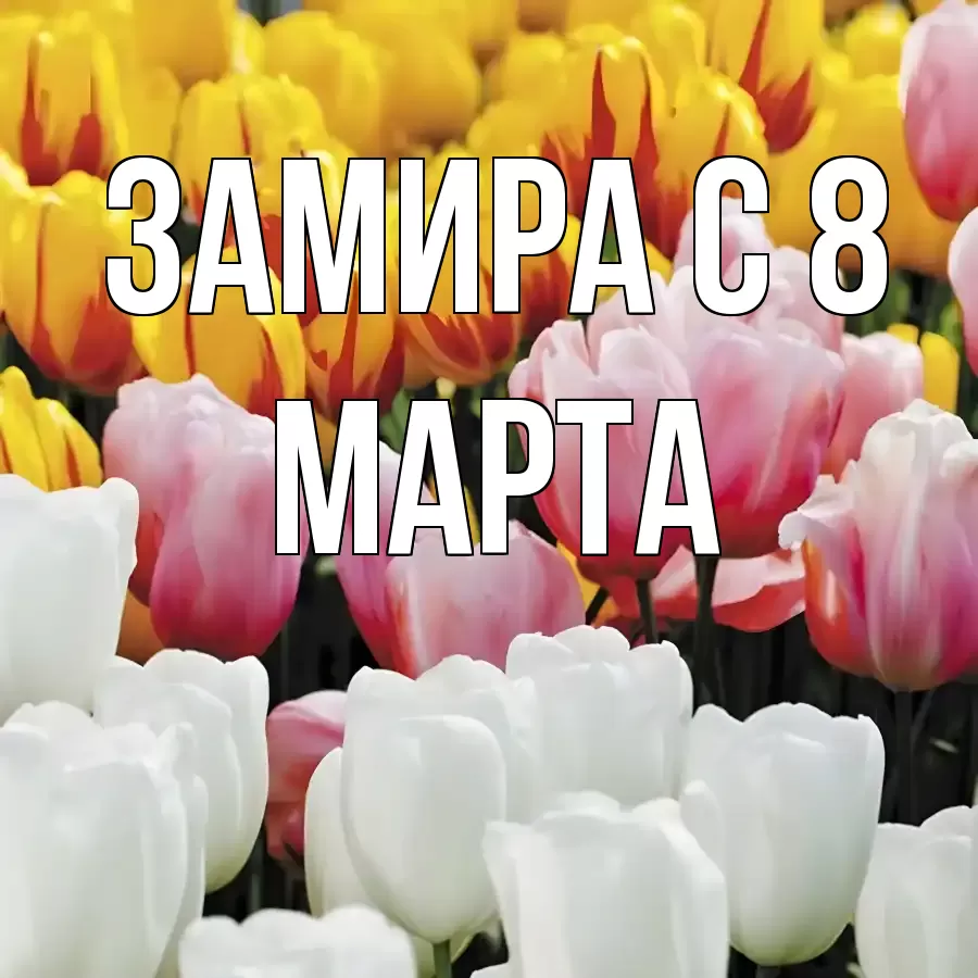 ОТКРЫТКА ЗАМИРА