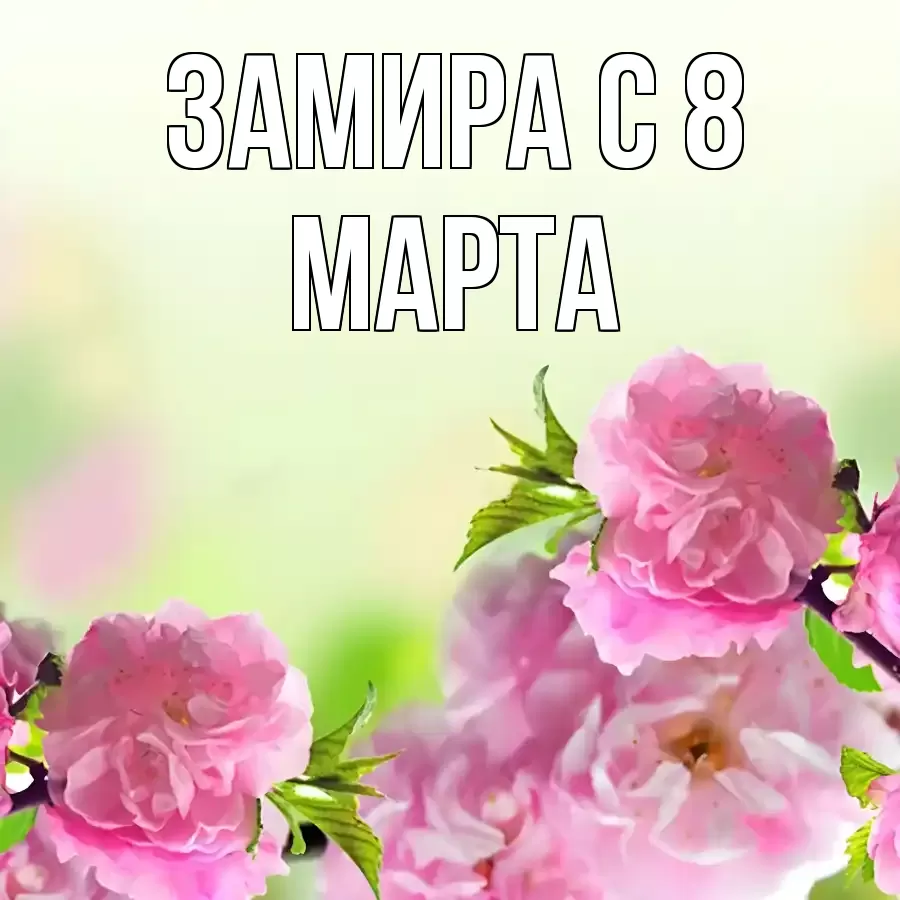 ОТКРЫТКА ЗАМИРА