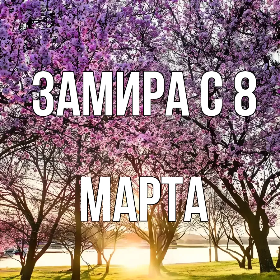 ОТКРЫТКА ЗАМИРА