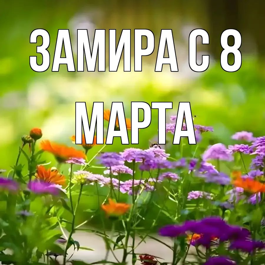 ОТКРЫТКА ЗАМИРА