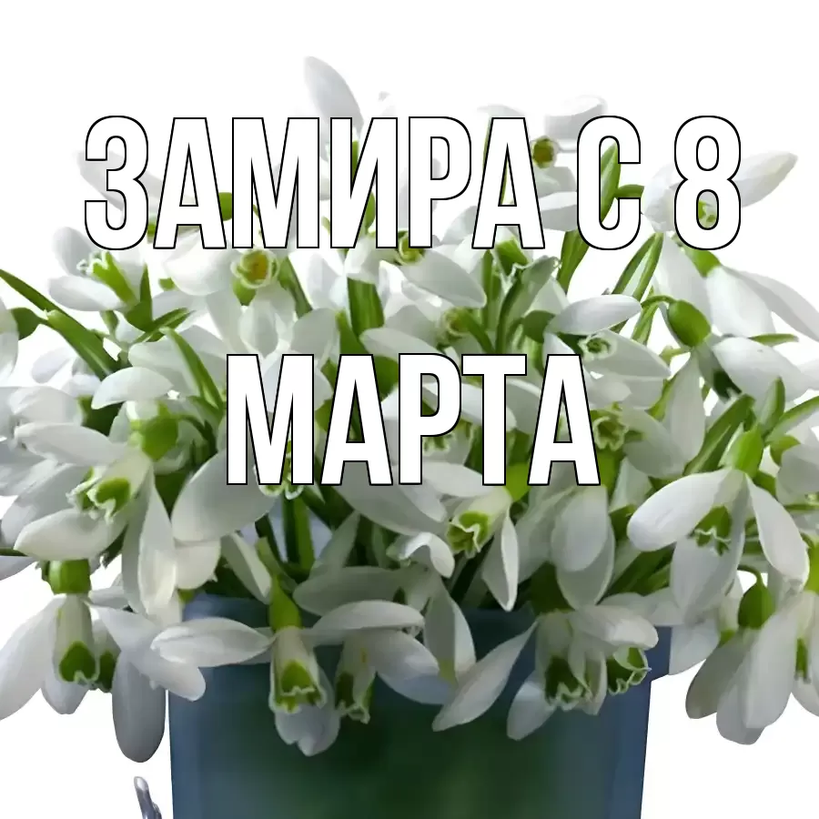 ОТКРЫТКА ЗАМИРА