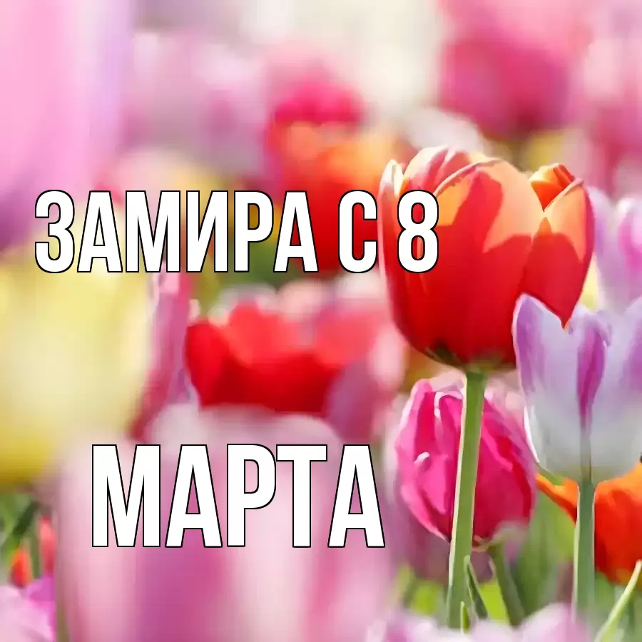 ОТКРЫТКА ЗАМИРА