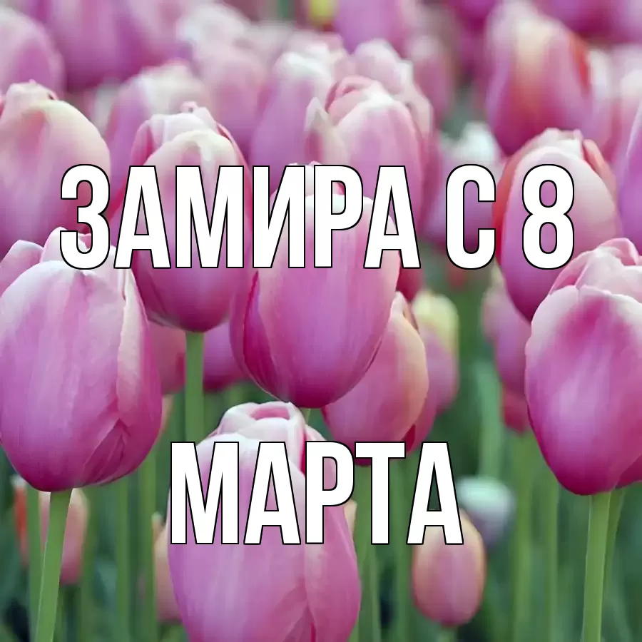 ОТКРЫТКА ЗАМИРА